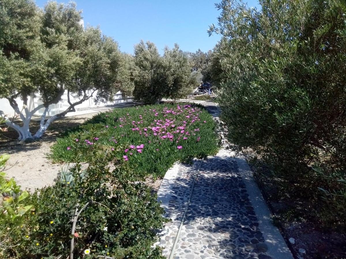 เปริสซา มาร์ Hotel Agios Georgios  ภายนอก รูปภาพ